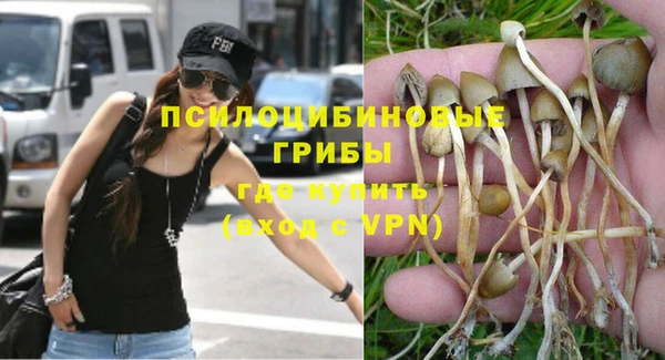 ешки Магас