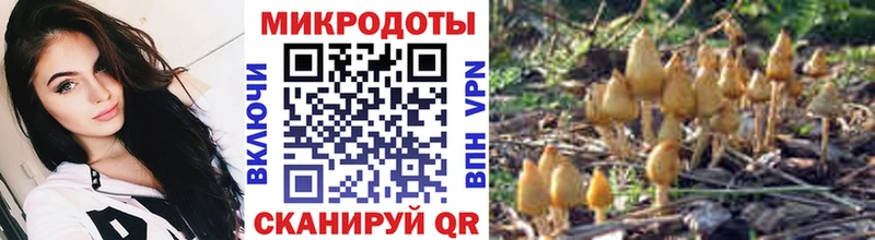 Псилоцибиновые грибы Magic Shrooms  хочу наркоту  Юхнов 